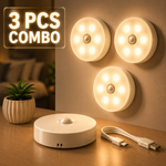 Three wall-mounted light fixtures with a power adapter on a wooden surface.
